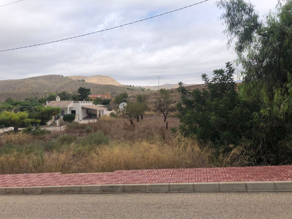 Landejendom i Pinoso, Alicante - foto 1